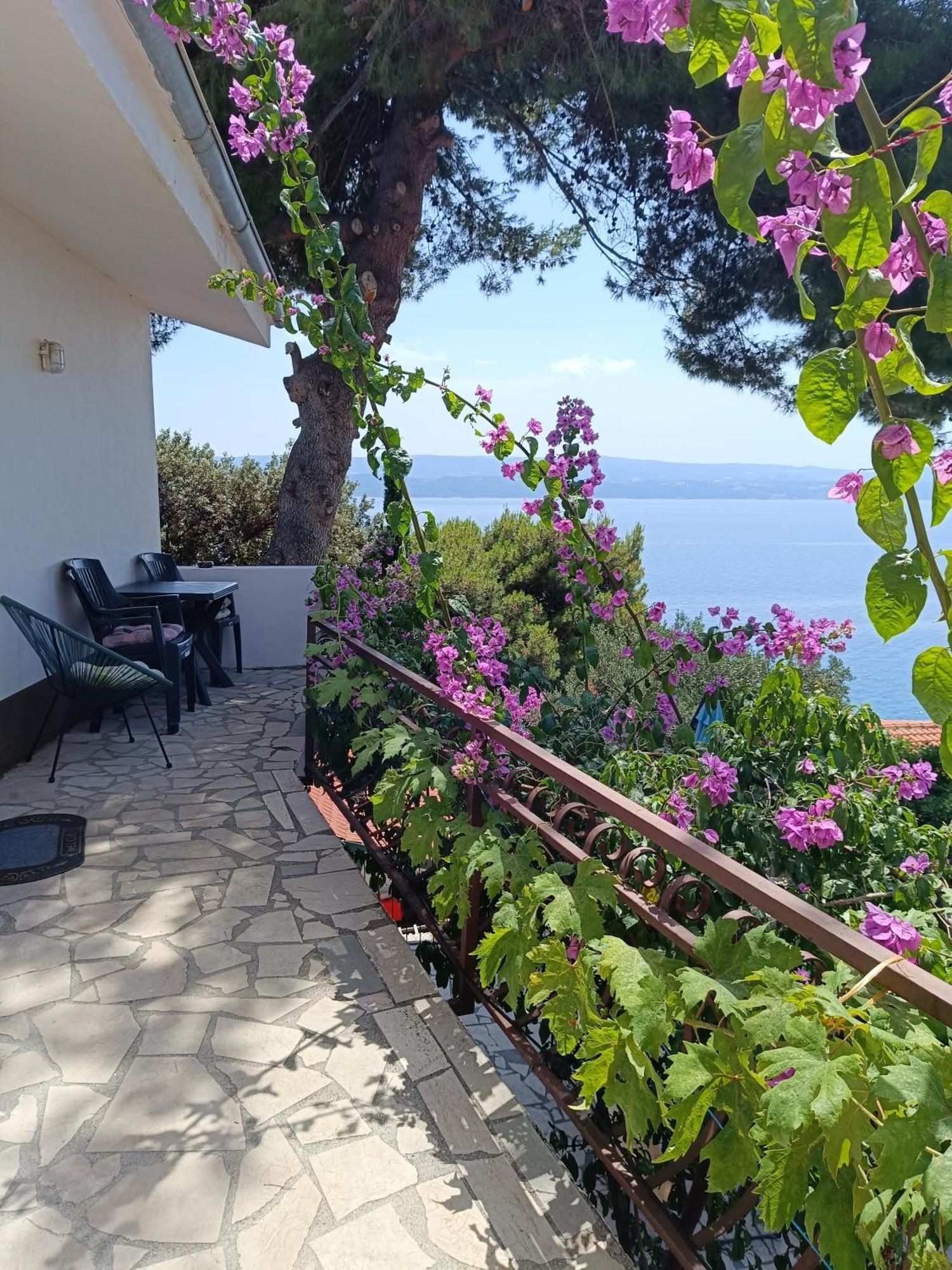 Studio Apartmani Tucic Celina Εξωτερικό φωτογραφία