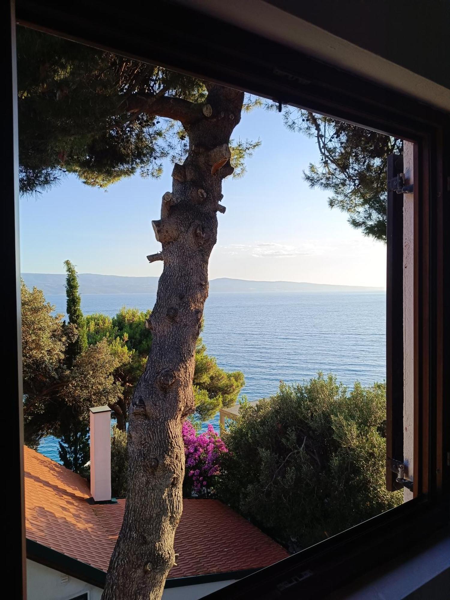 Studio Apartmani Tucic Celina Εξωτερικό φωτογραφία