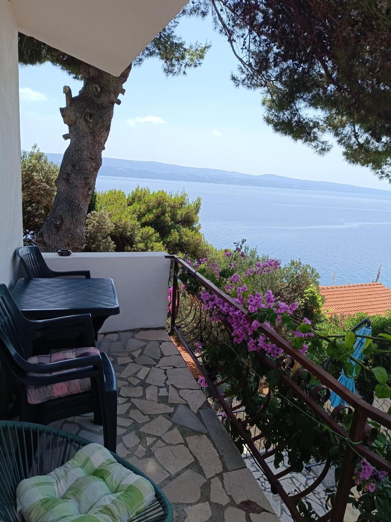 Studio Apartmani Tucic Celina Εξωτερικό φωτογραφία