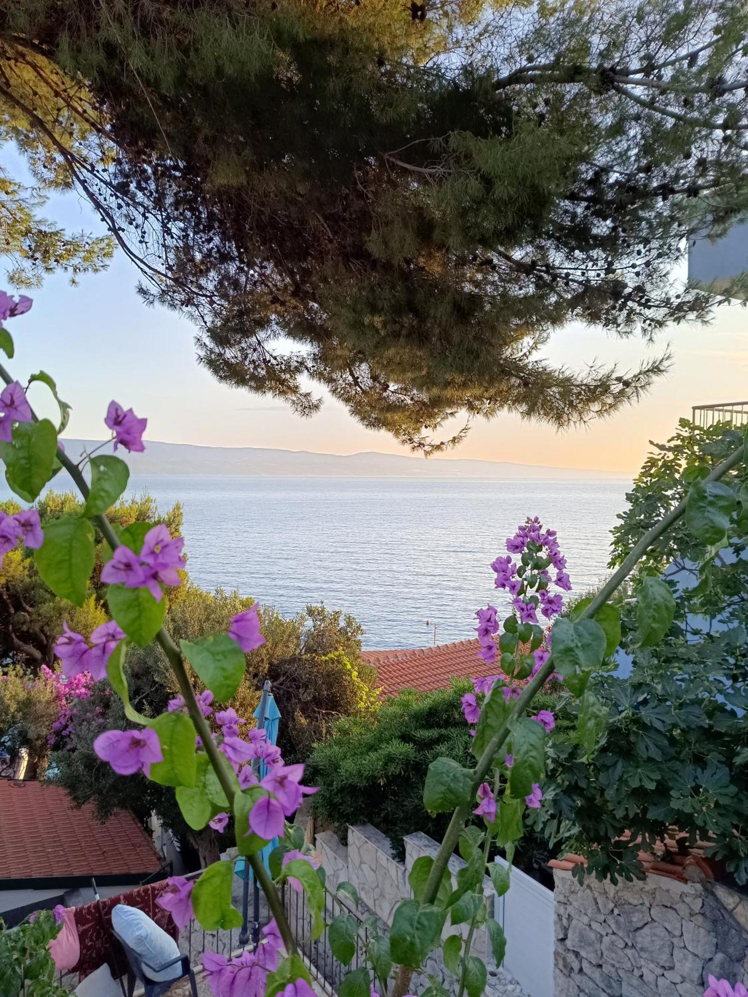 Studio Apartmani Tucic Celina Εξωτερικό φωτογραφία